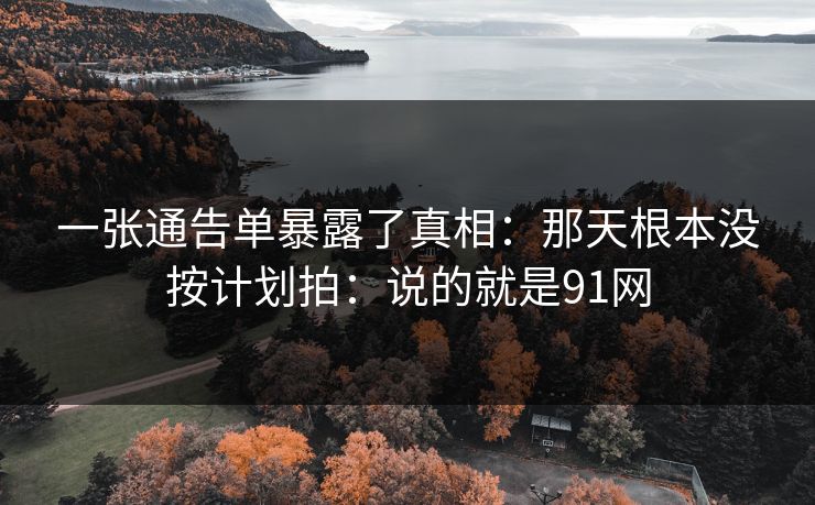 一张通告单暴露了真相：那天根本没按计划拍：说的就是91网