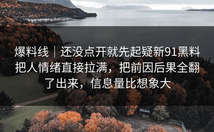爆料线｜还没点开就先起疑新91黑料把人情绪直接拉满，把前因后果全翻了出来，信息量比想象大