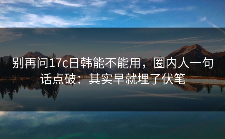 别再问17c日韩能不能用，圈内人一句话点破：其实早就埋了伏笔