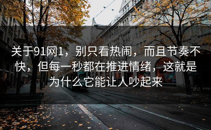 关于91网1，别只看热闹，而且节奏不快，但每一秒都在推进情绪，这就是为什么它能让人吵起来