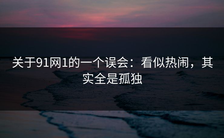 关于91网1的一个误会：看似热闹，其实全是孤独