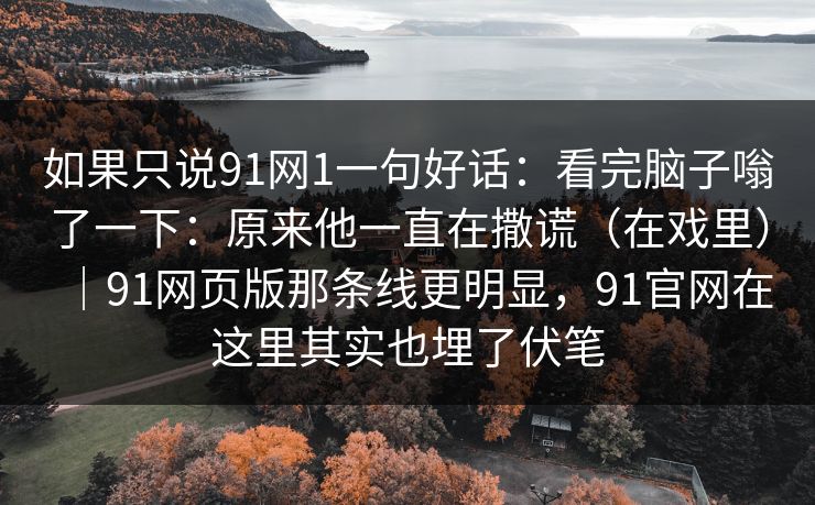 如果只说91网1一句好话：看完脑子嗡了一下：原来他一直在撒谎（在戏里）｜91网页版那条线更明显，91官网在这里其实也埋了伏笔